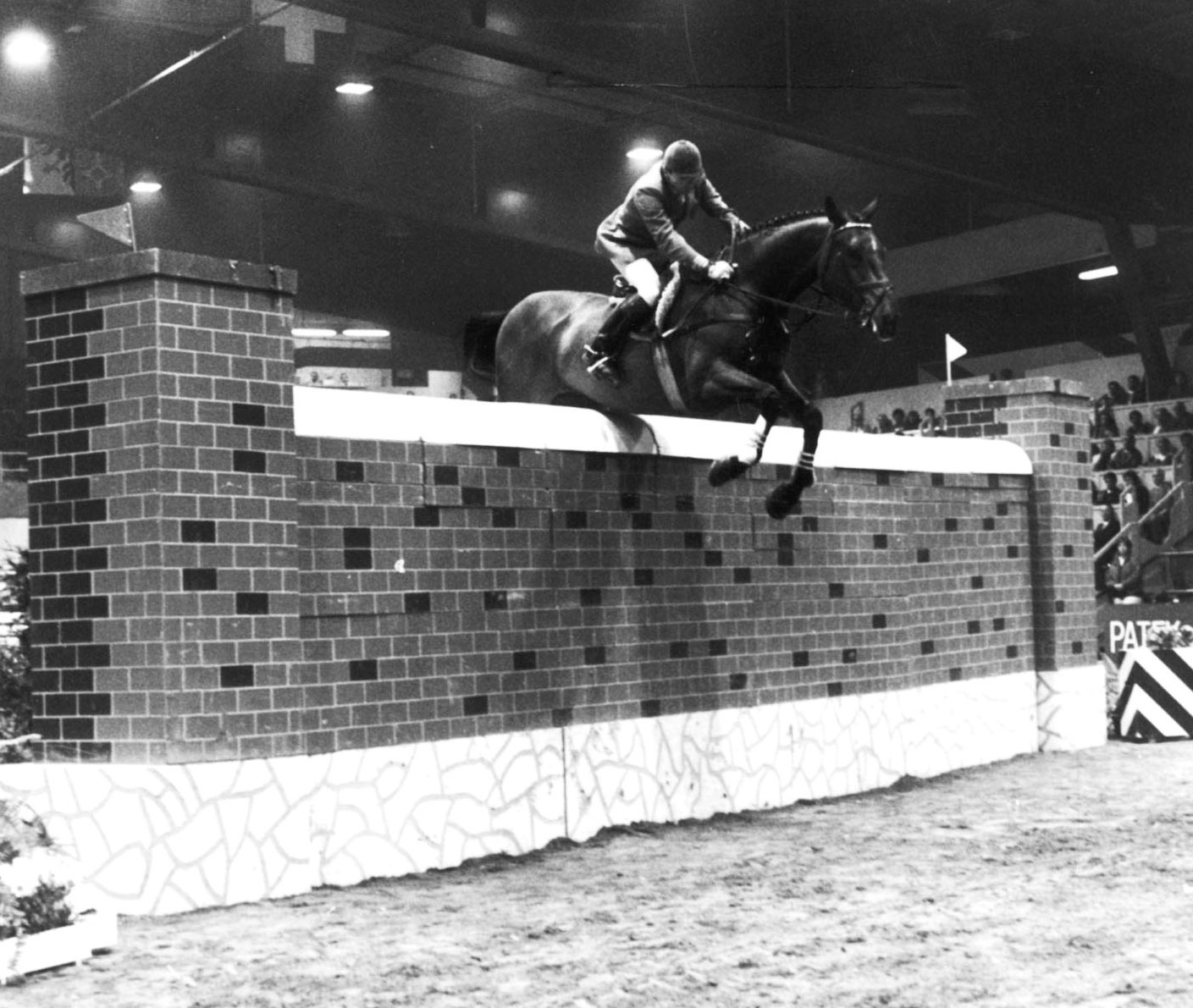 Beethoven II clearing the 2.30 m wall