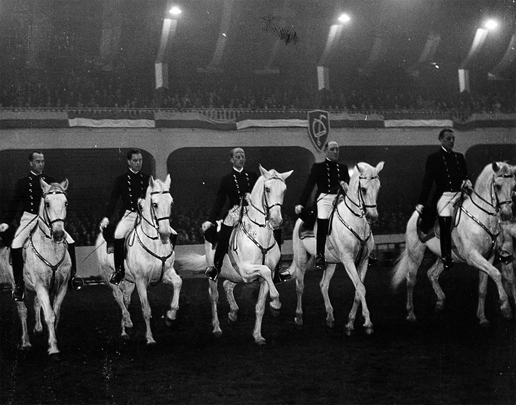 The Spanish Riding School of Vienna in Geneva in 1949