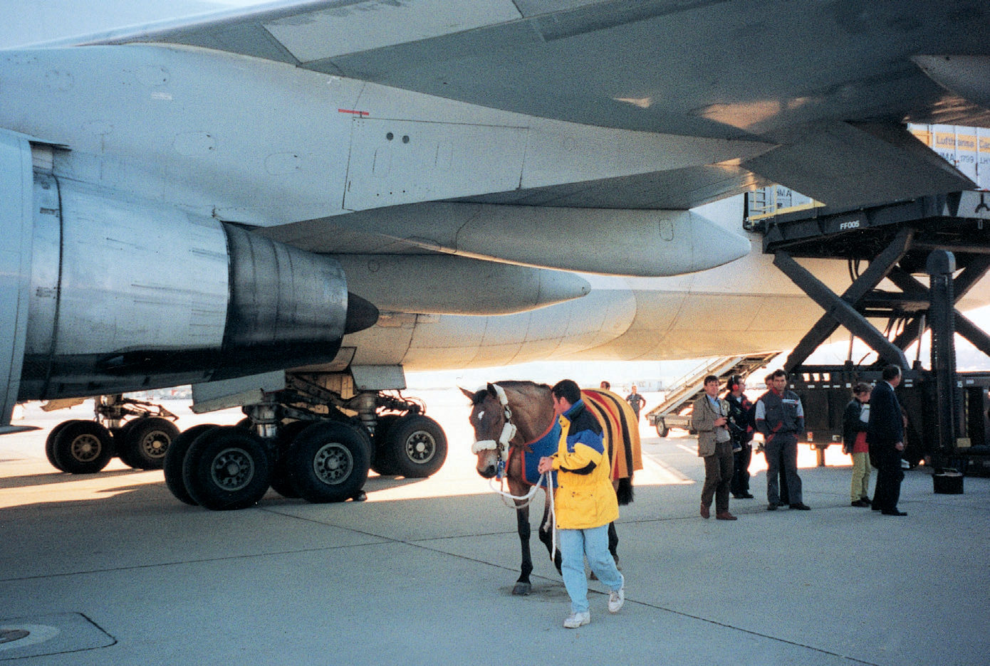 North American horses arriving on the Cointrin tarmac in April 1996