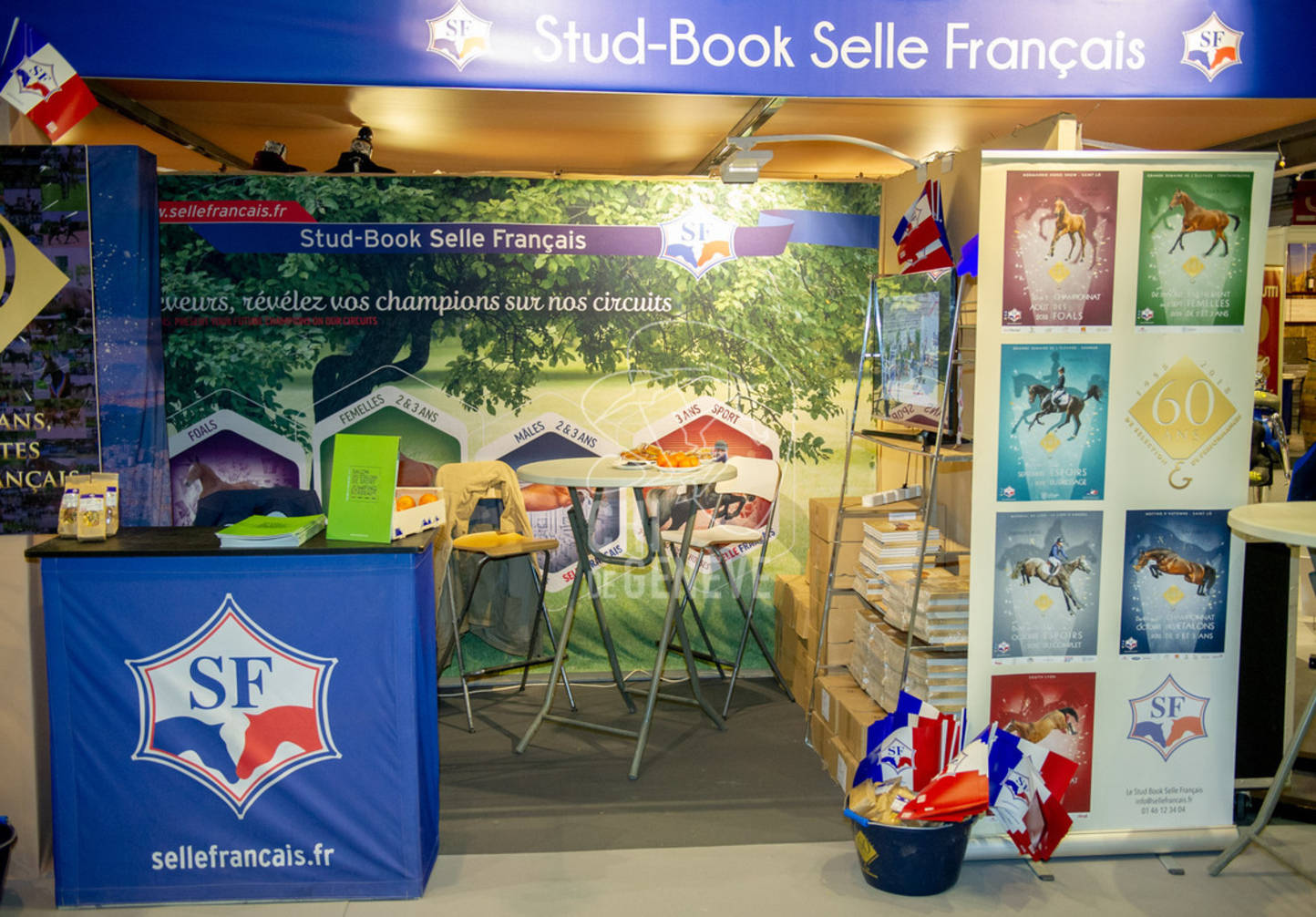 Description de l'image