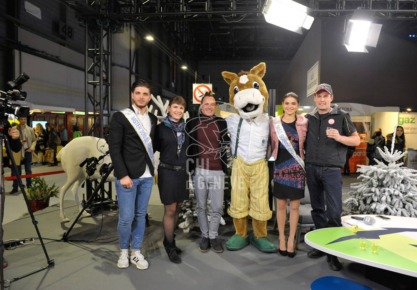 Description de l'image