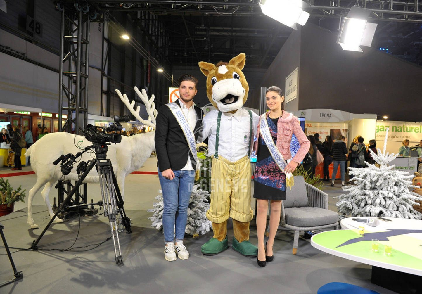Description de l'image
