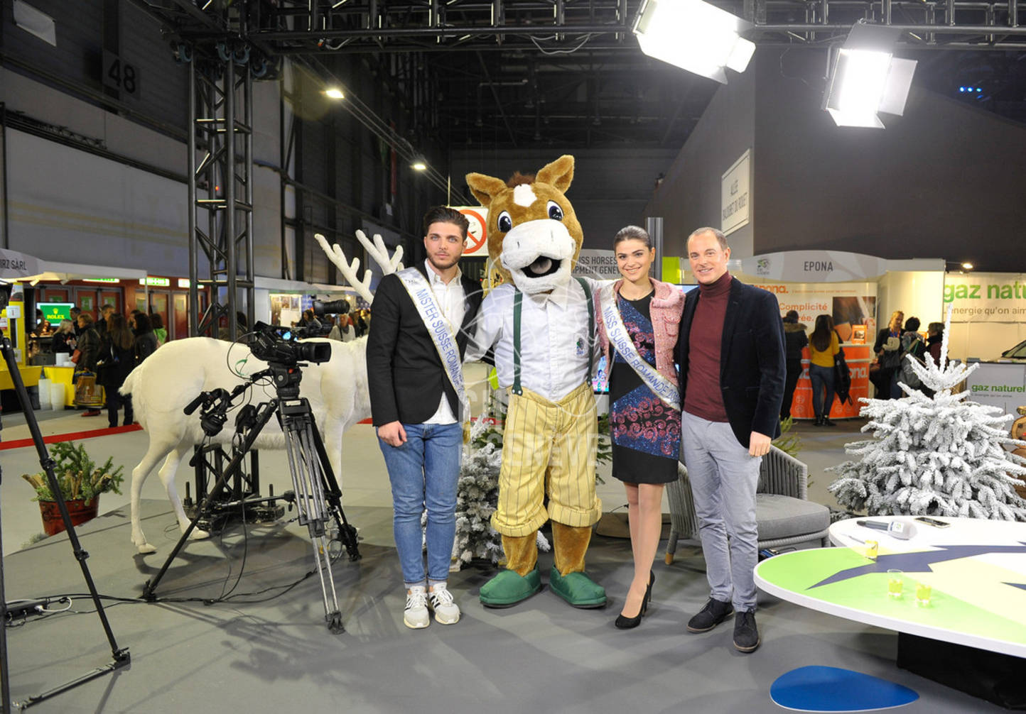 Description de l'image