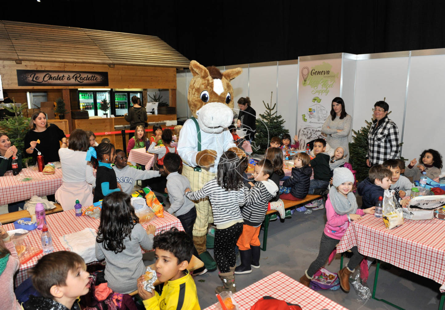 Description de l'image