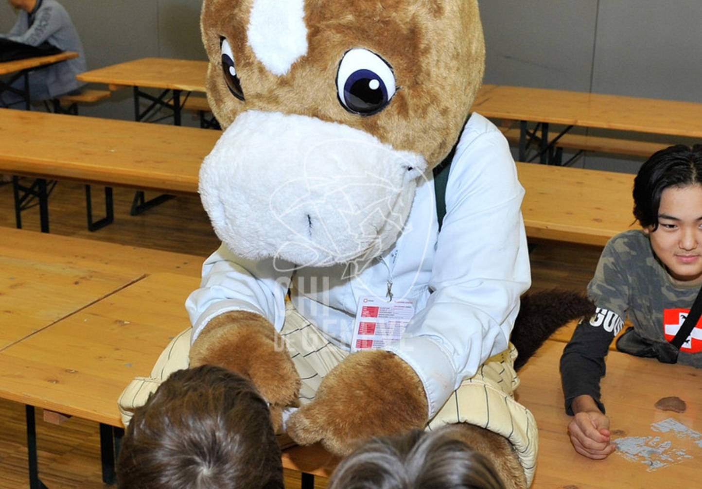 Description de l'image