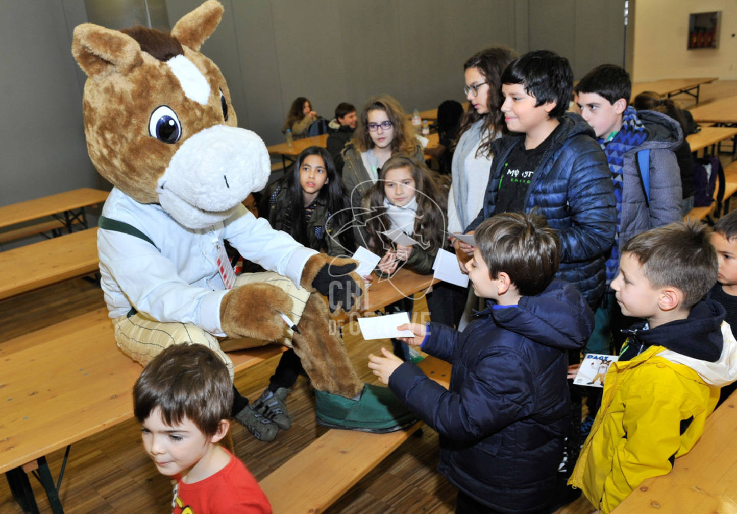 Description de l'image