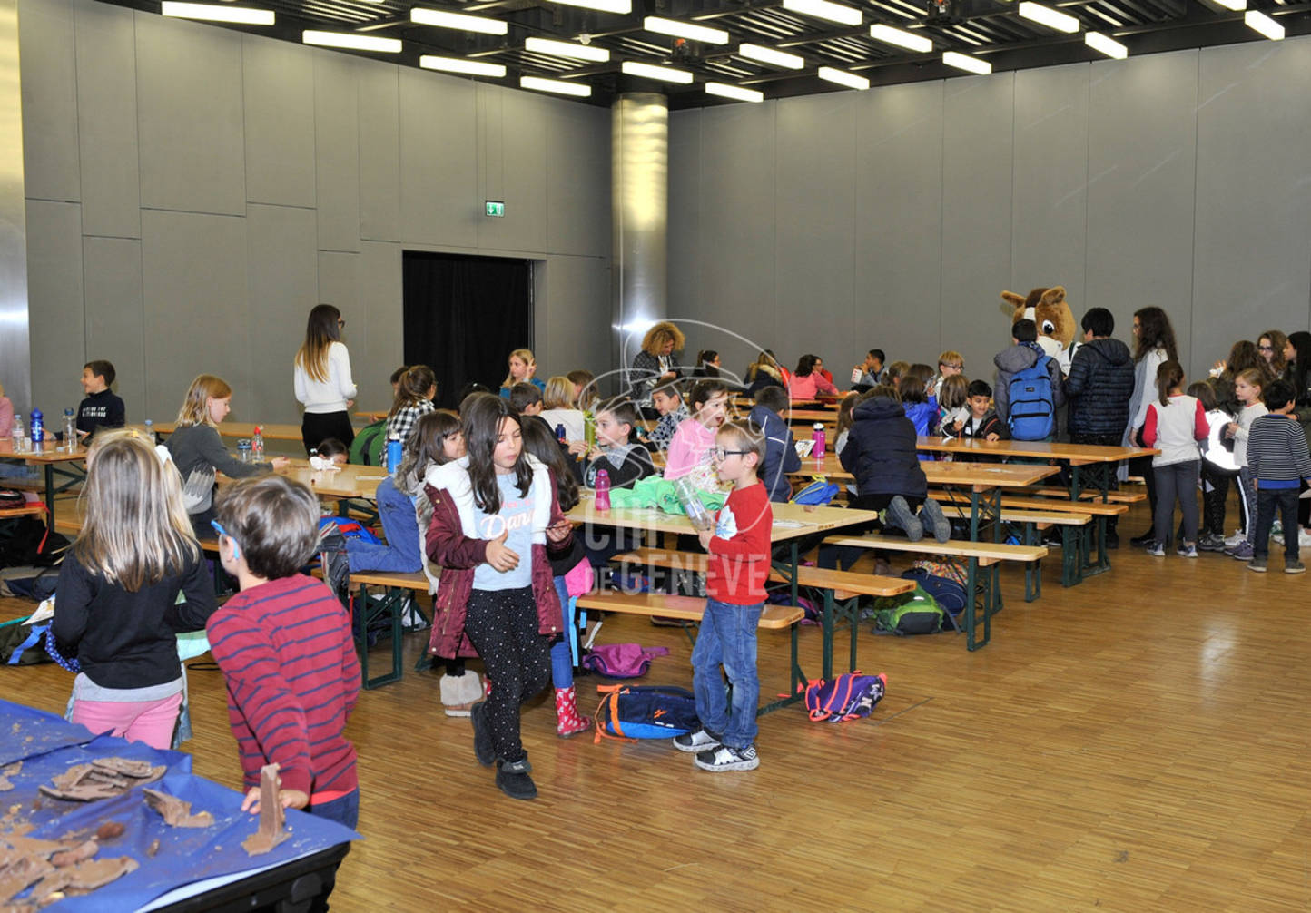 Description de l'image