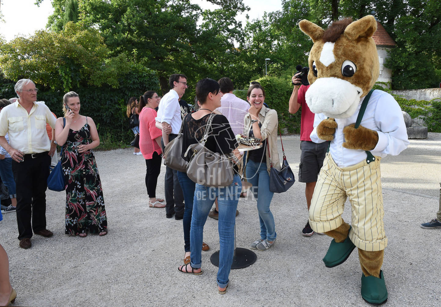 CHI_Soirée des Bénévoles
Le Manege-Onex 27 juin 2017
Photo:Joseph Carlucci