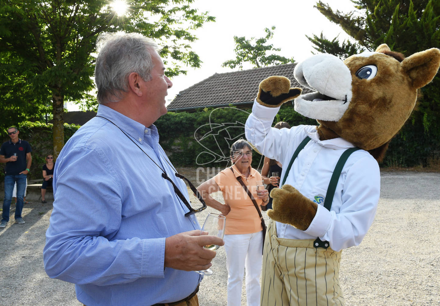 CHI_Soirée des Bénévoles
Le Manege-Onex 27 juin 2017
Photo:Joseph Carlucci