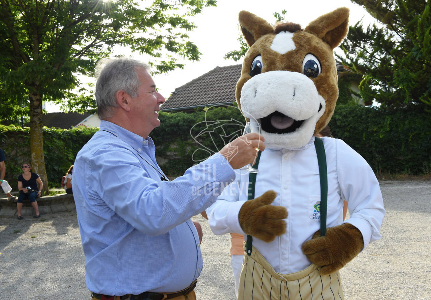 CHI_Soirée des Bénévoles
Le Manege-Onex 27 juin 2017
Photo:Joseph Carlucci