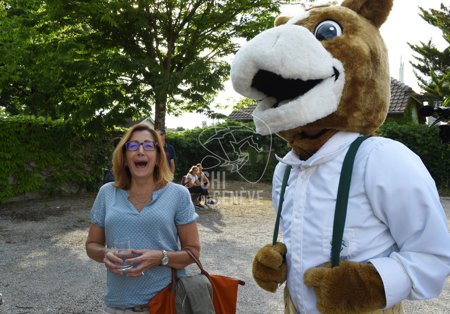 CHI_Soirée des Bénévoles
Le Manege-Onex 27 juin 2017
Photo:Joseph Carlucci