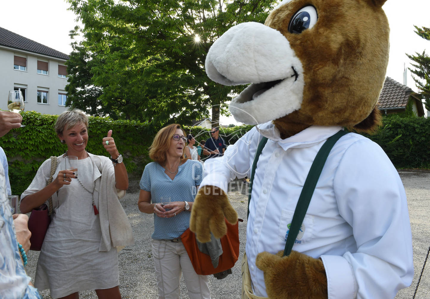 CHI_Soirée des Bénévoles
Le Manege-Onex 27 juin 2017
Photo:Joseph Carlucci