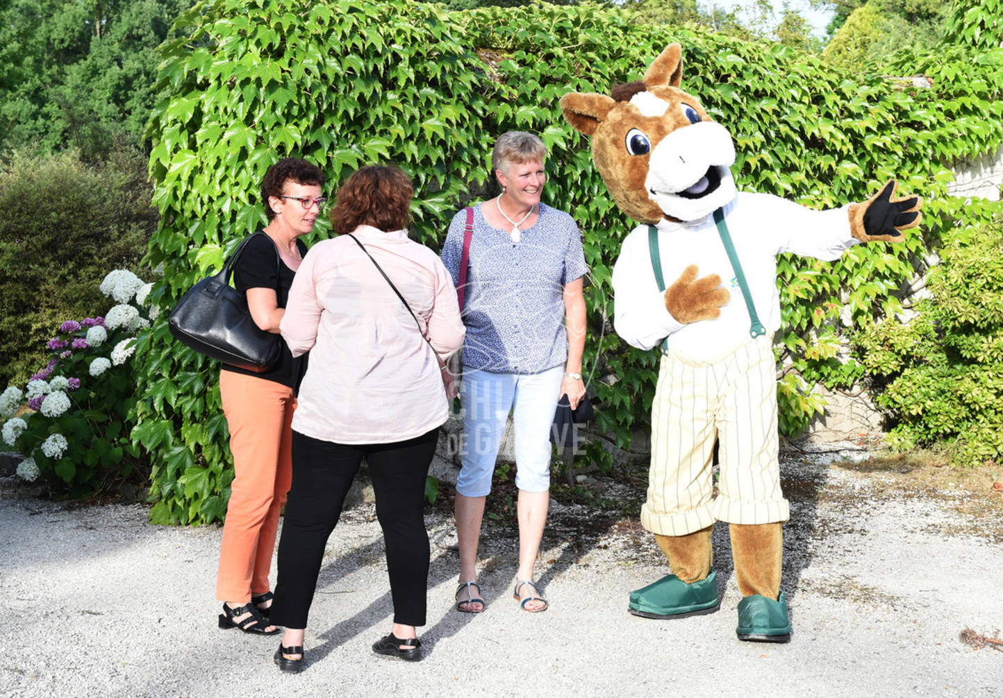 CHI_Soirée des Bénévoles
Le Manege-Onex 27 juin 2017
Photo:Joseph Carlucci