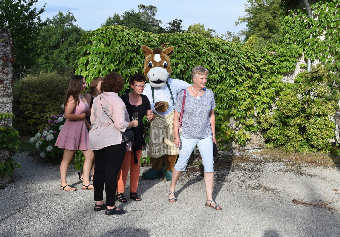 CHI_Soirée des Bénévoles
Le Manege-Onex 27 juin 2017
Photo:Joseph Carlucci