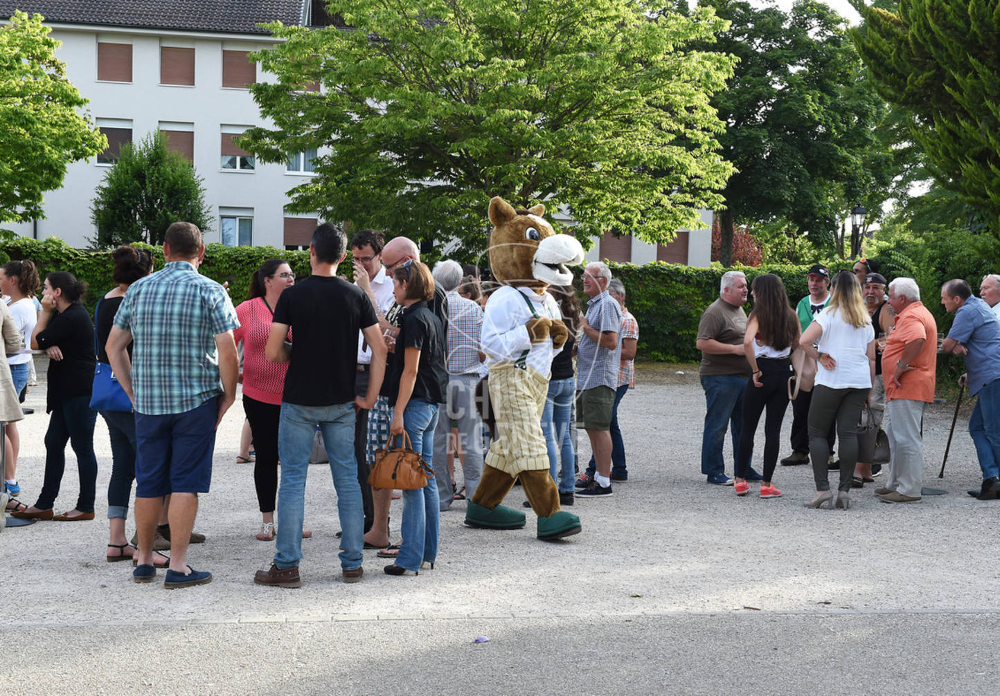CHI_Soirée des Bénévoles
Le Manege-Onex 27 juin 2017
Photo:Joseph Carlucci