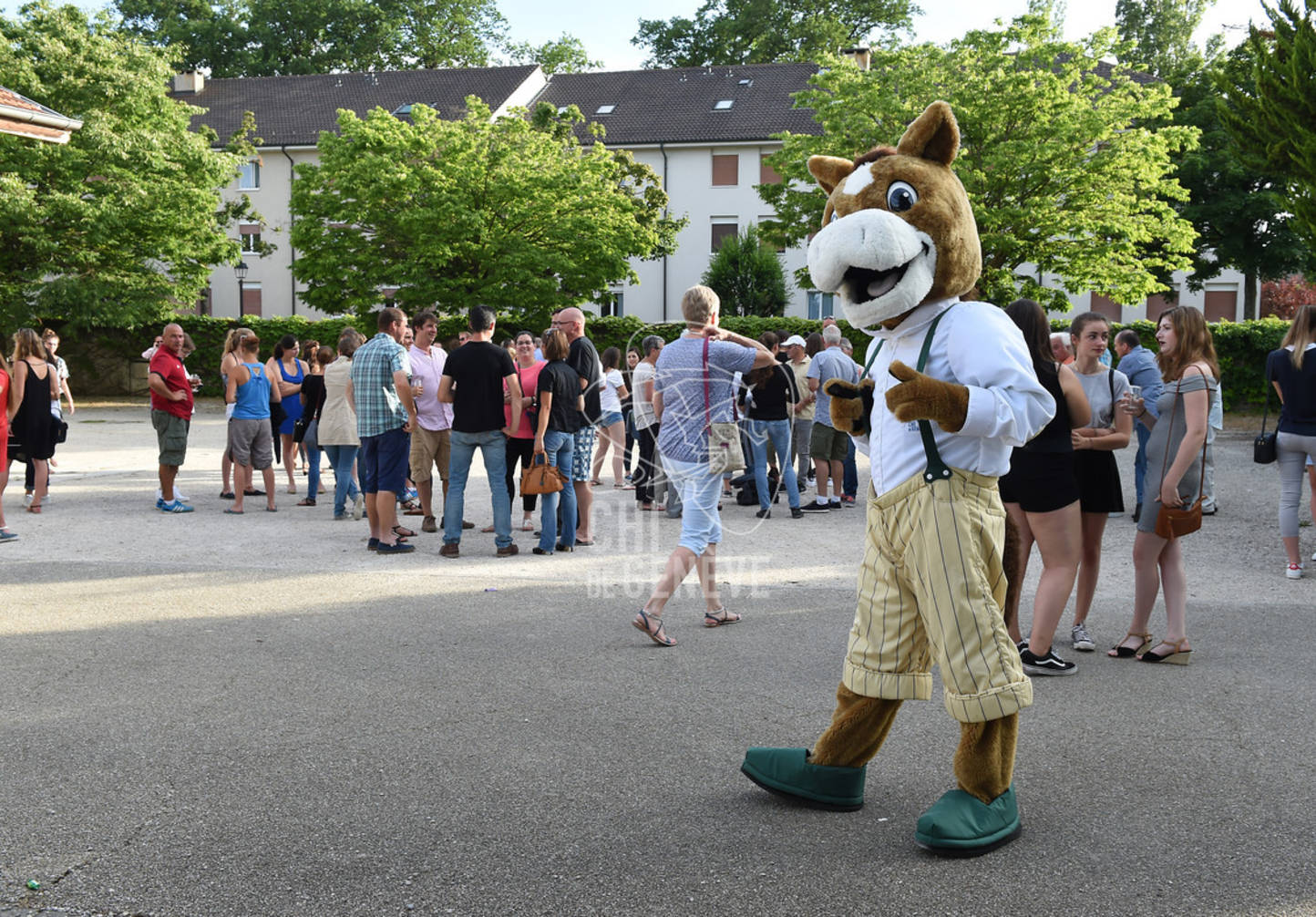 CHI_Soirée des Bénévoles
Le Manege-Onex 27 juin 2017
Photo:Joseph Carlucci