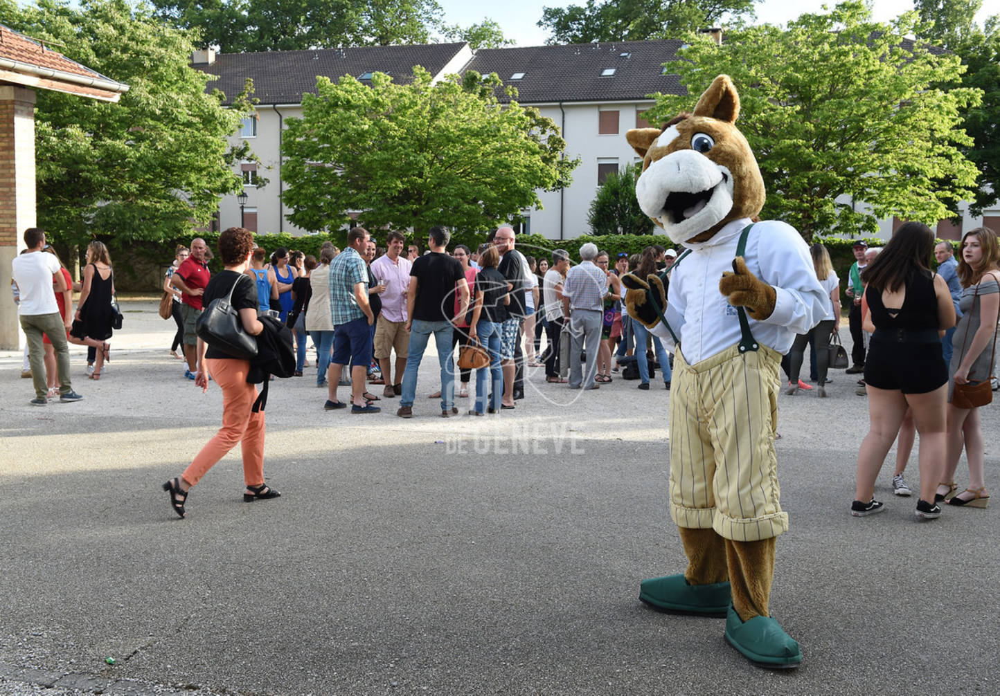 CHI_Soirée des Bénévoles
Le Manege-Onex 27 juin 2017
Photo:Joseph Carlucci