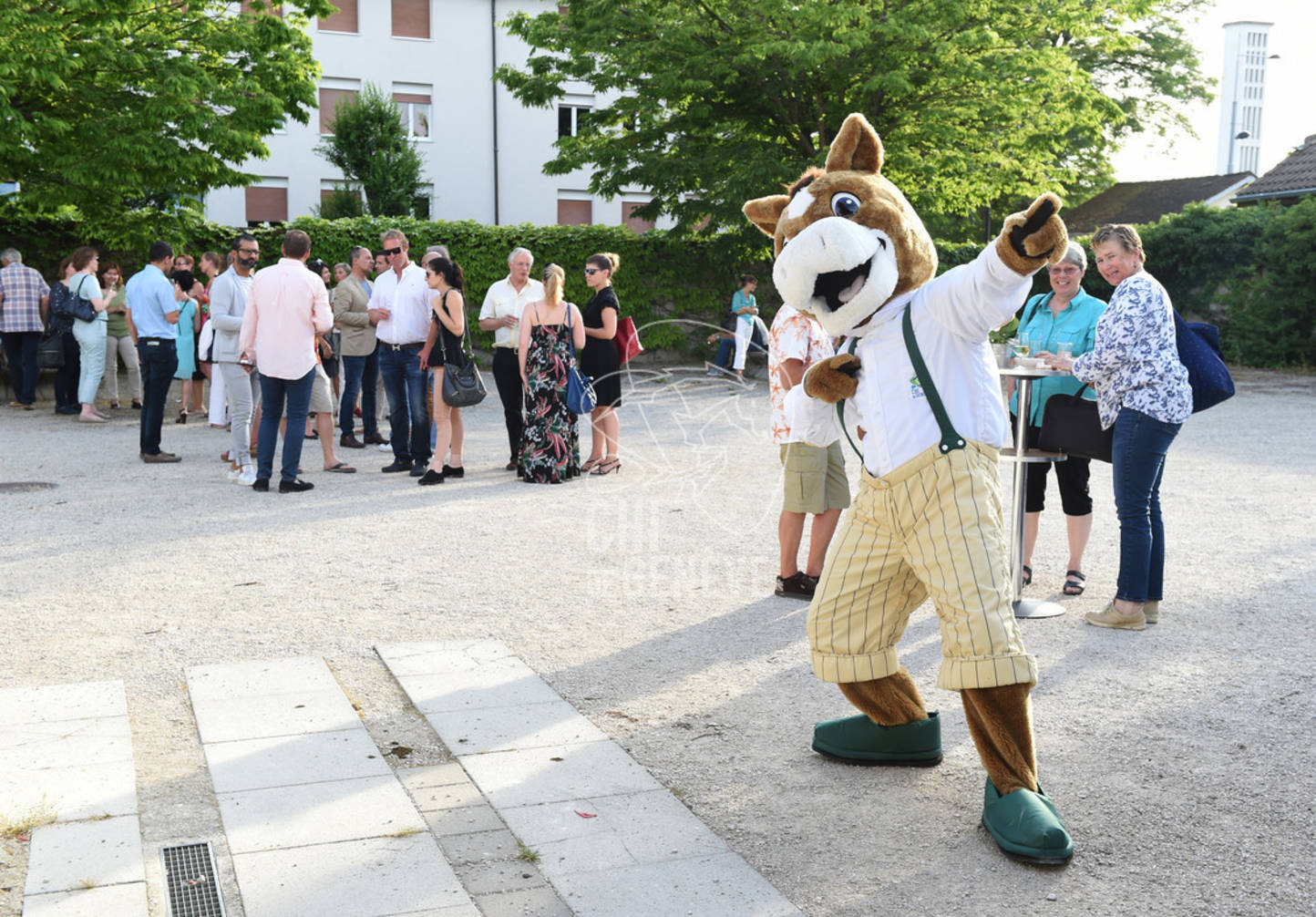 CHI_Soirée des Bénévoles
Le Manege-Onex 27 juin 2017
Photo:Joseph Carlucci