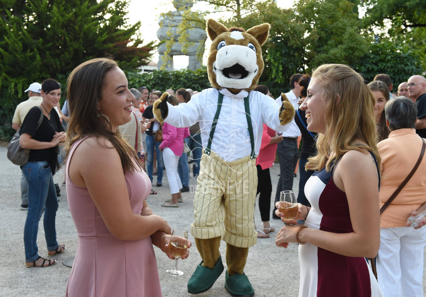 CHI_Soirée des Bénévoles
Le Manege-Onex 27 juin 2017
Photo:Joseph Carlucci