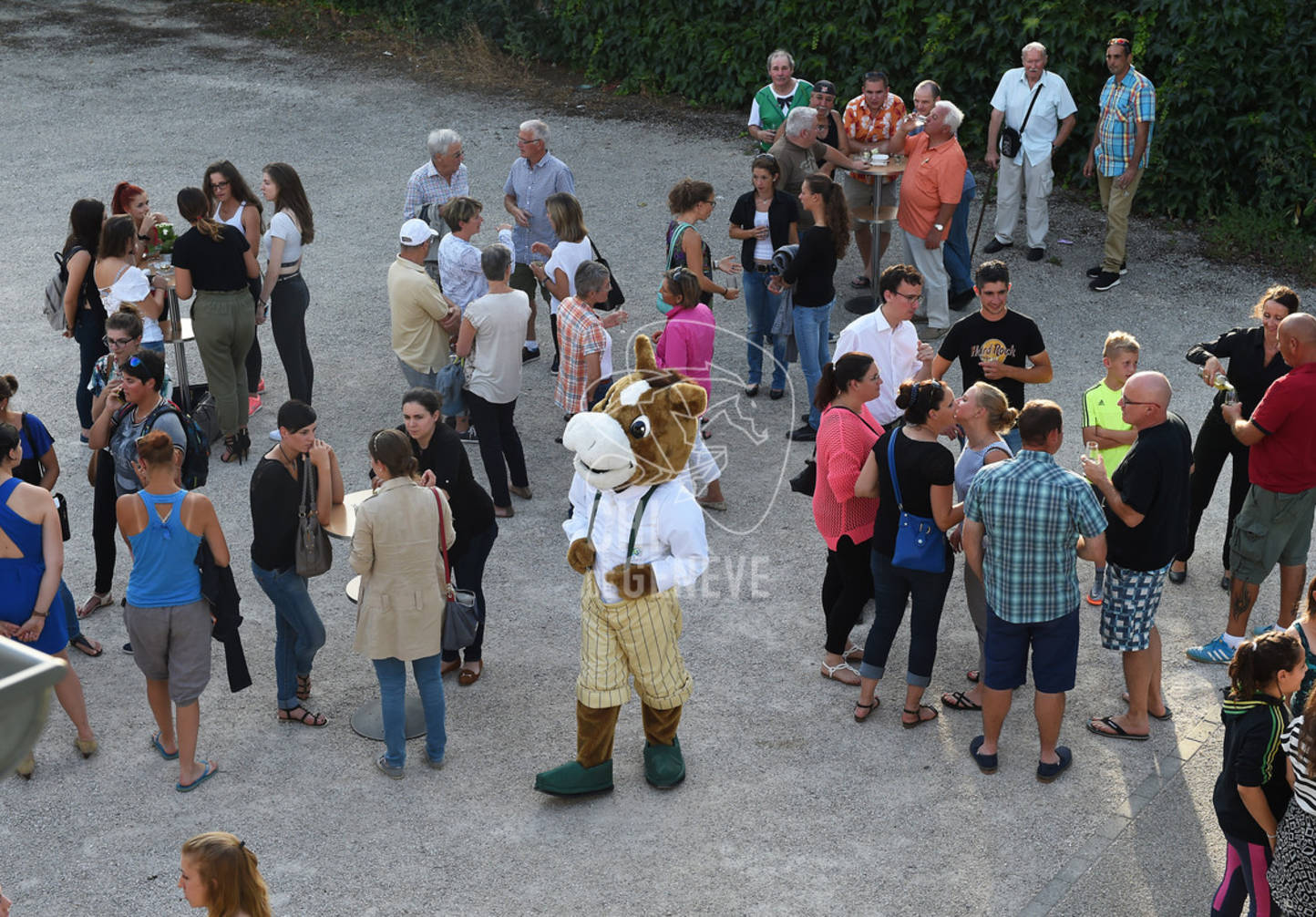CHI_Soirée des Bénévoles
Le Manege-Onex 27 juin 2017
Photo:Joseph Carlucci