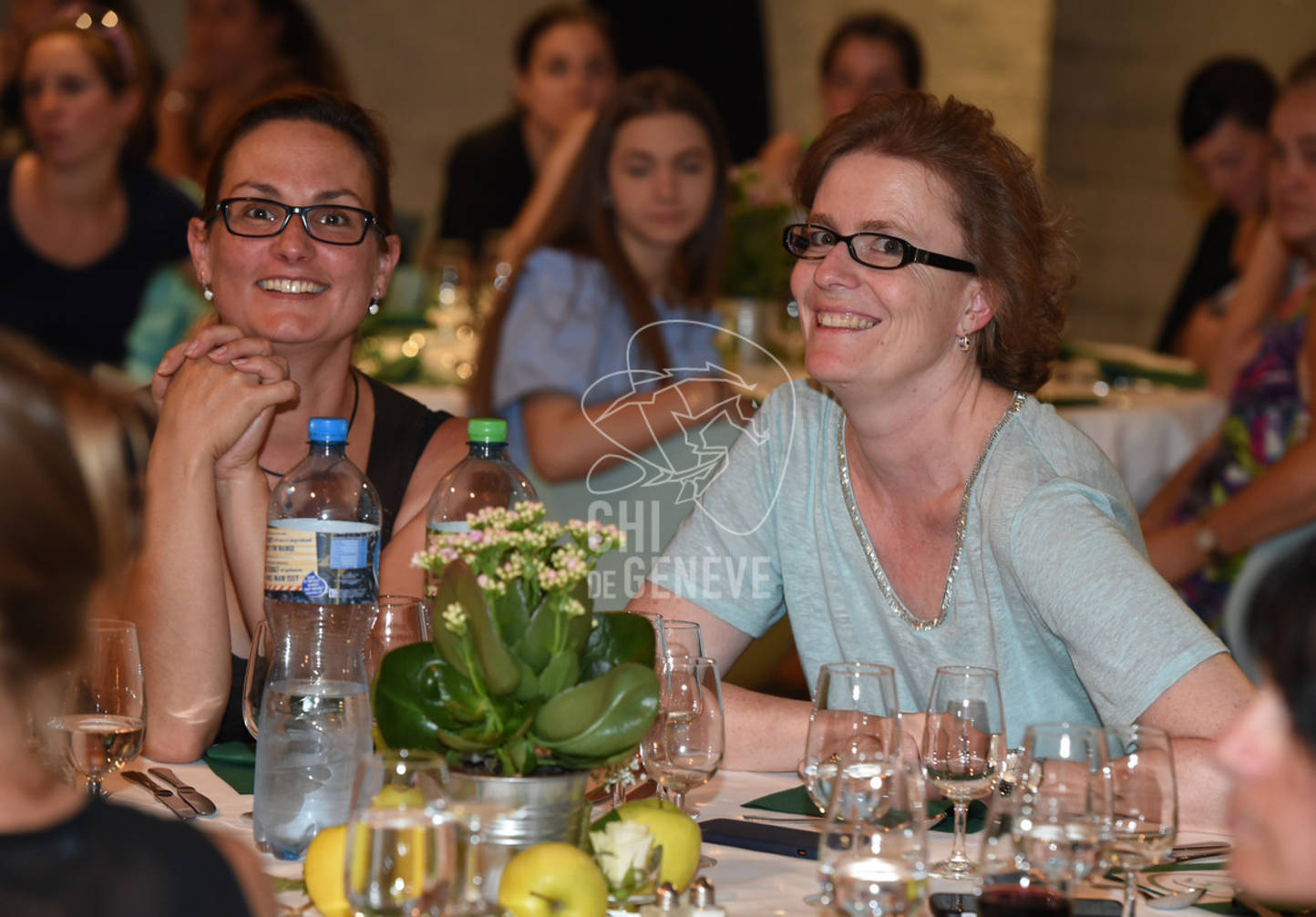 CHI_Soirée des Bénévoles
Le Manege-Onex 27 juin 2017
Photo:Joseph Carlucci