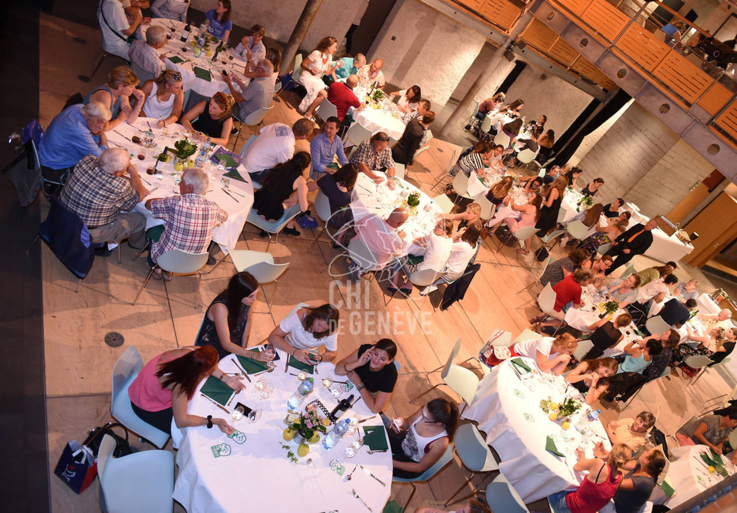 CHI_Soirée des Bénévoles
Le Manege-Onex 27 juin 2017
Photo:Joseph Carlucci