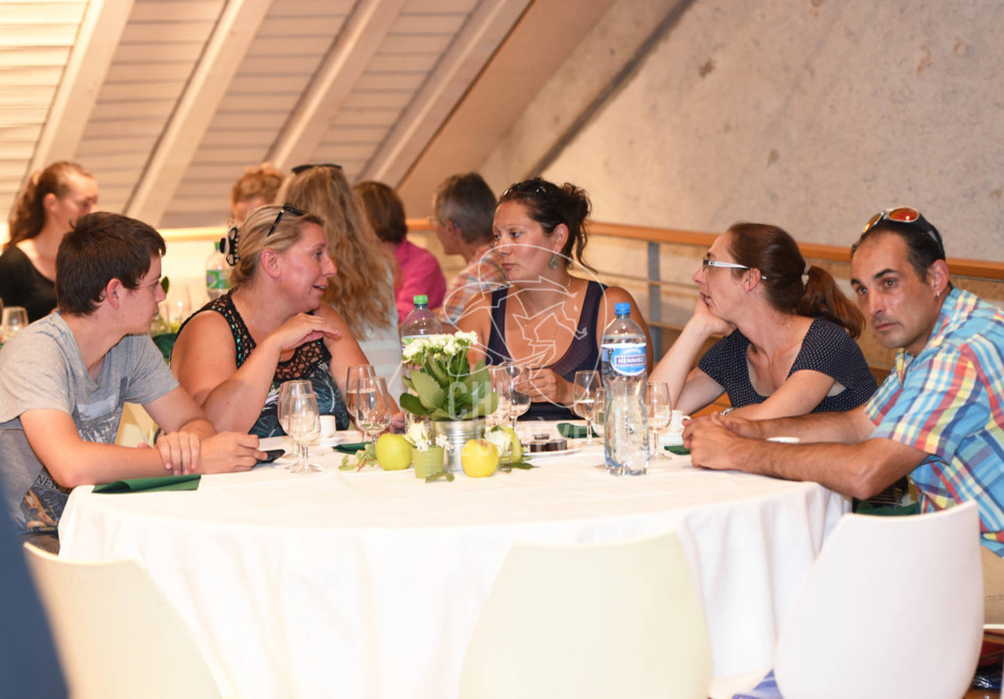 CHI_Soirée des Bénévoles
Le Manege-Onex 27 juin 2017
Photo:Joseph Carlucci