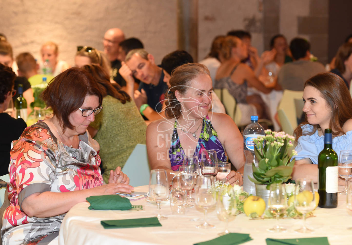 CHI_Soirée des Bénévoles
Le Manege-Onex 27 juin 2017
Photo:Joseph Carlucci
