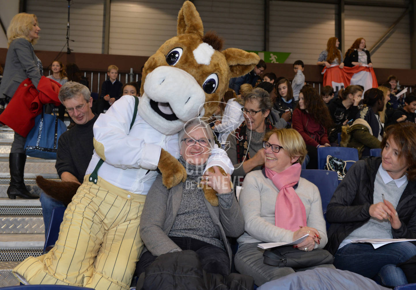 Description de l'image