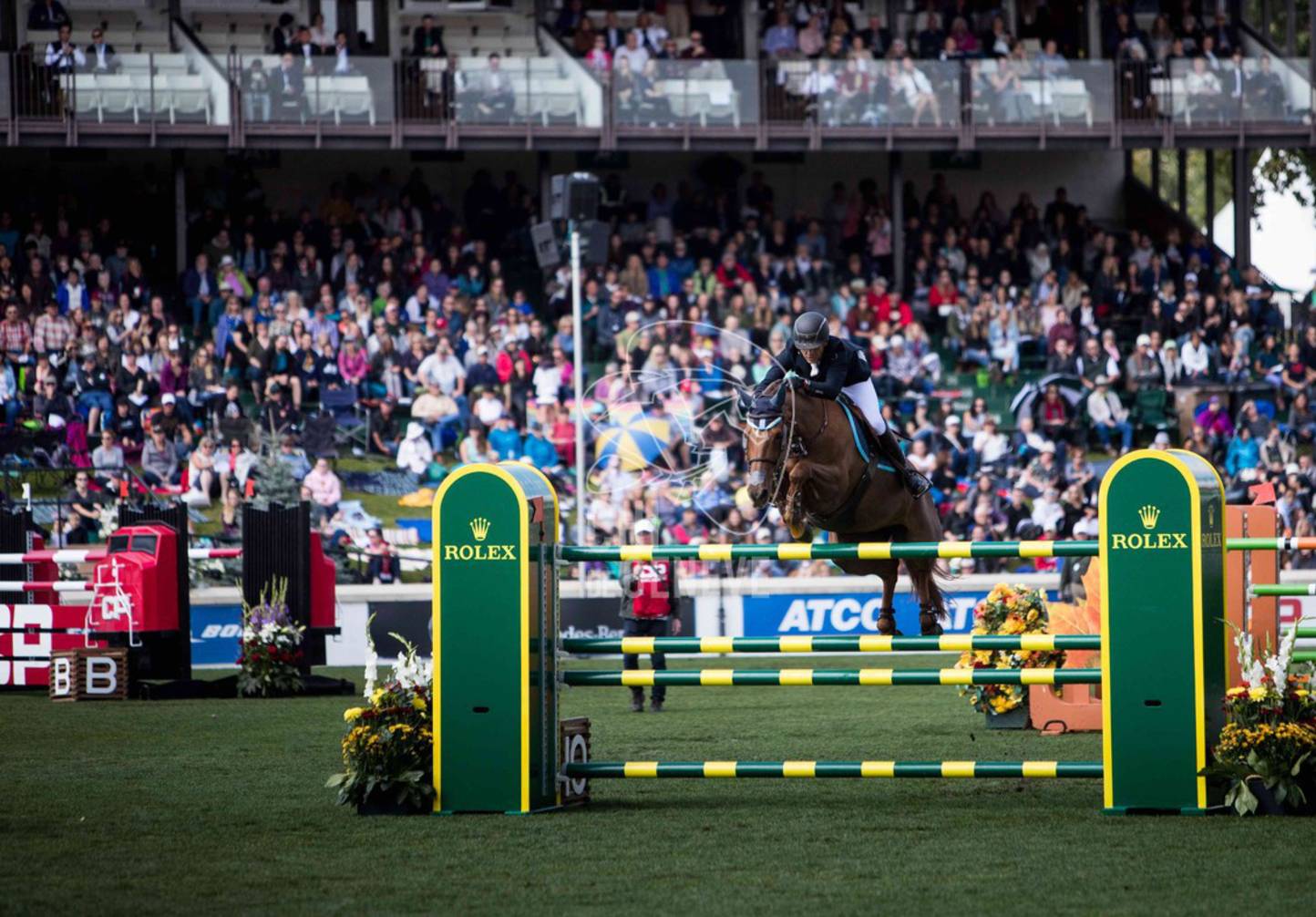 Interview with Rolex Grand Slam live contender, Sameh El Dahan