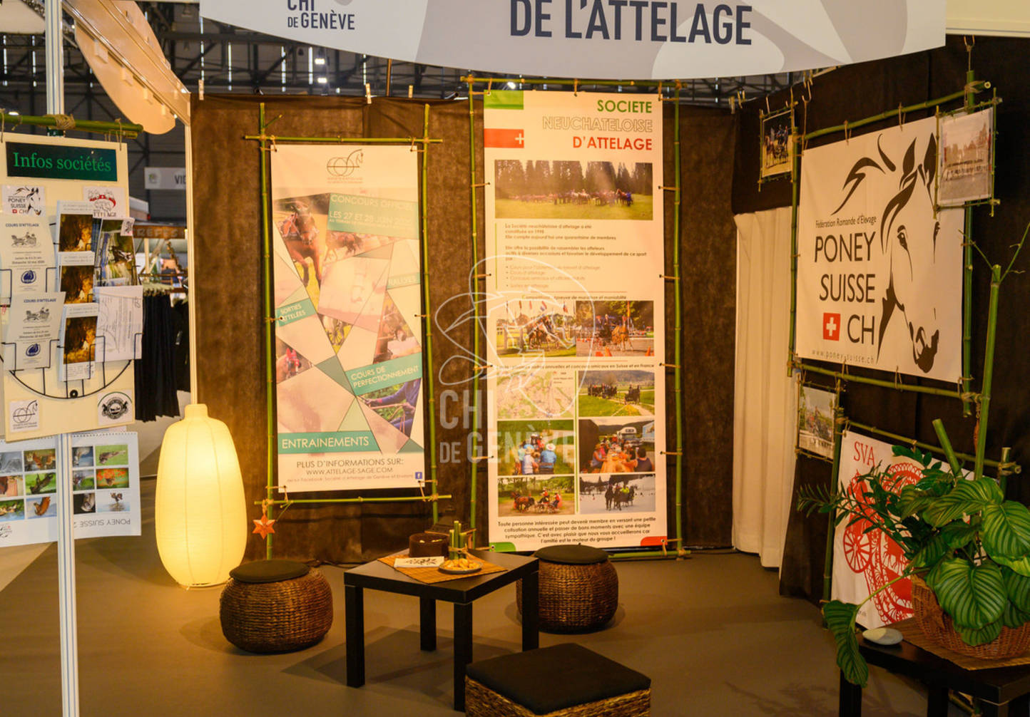 Description de l'image