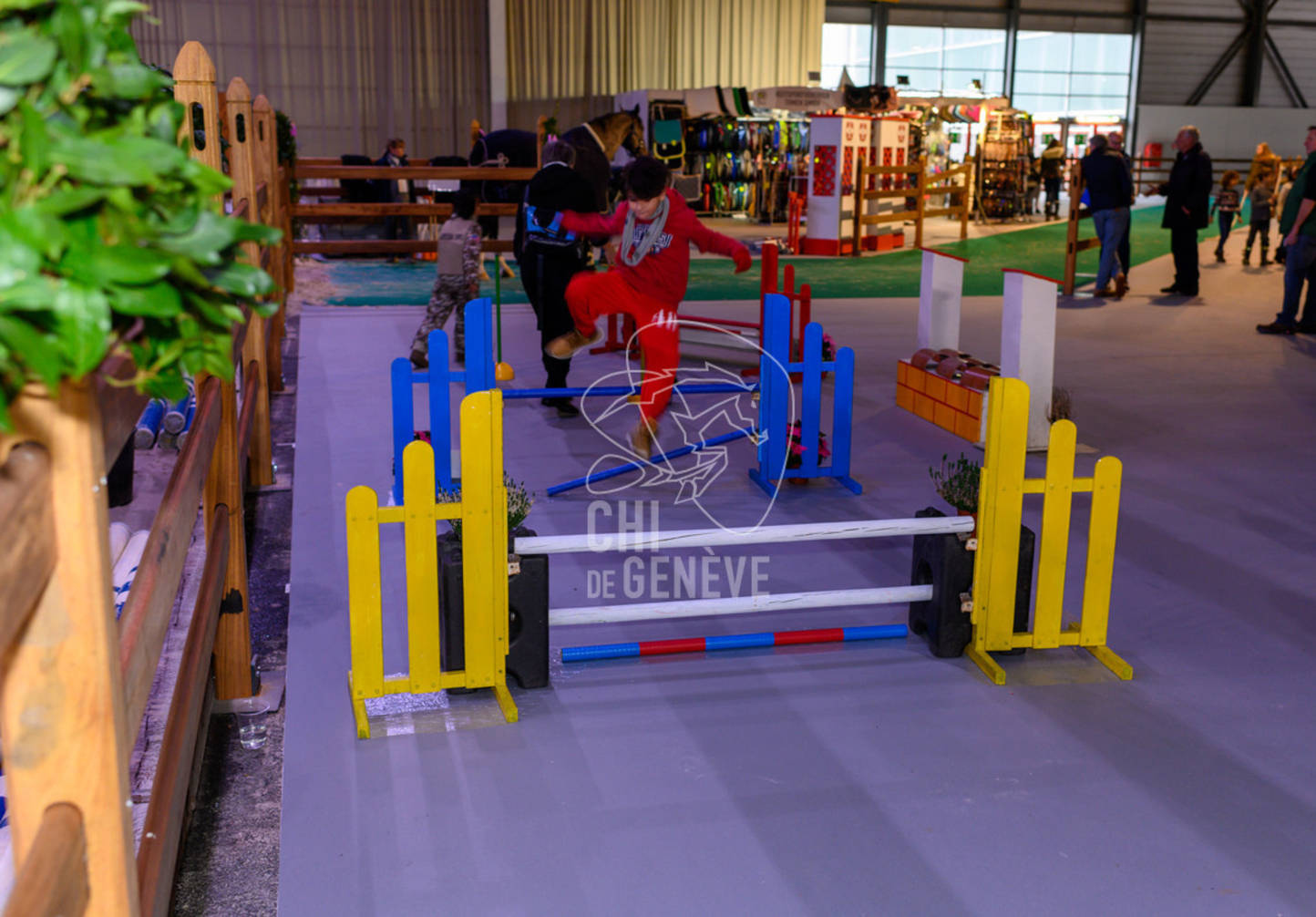 Description de l'image