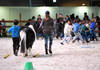 Spectacle equestreCHIG_Palexpo Genève  07 décembre 2023