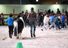 Spectacle equestre
CHIG_Palexpo Genève  07 décembre 2023