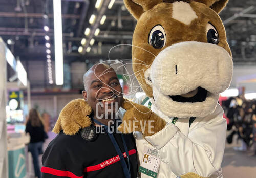 Description de l'image