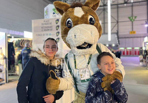 Description de l'image