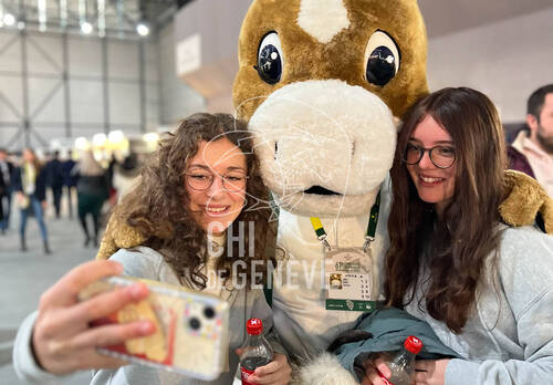 Description de l'image