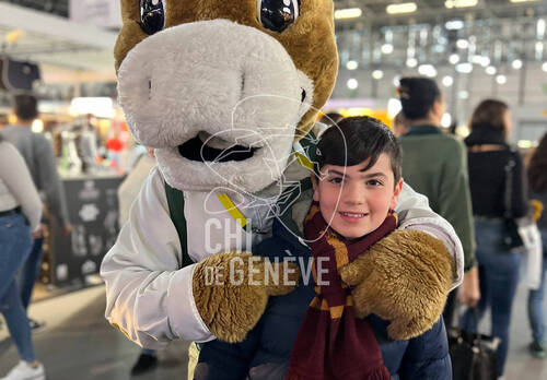 Description de l'image