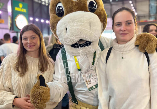 Description de l'image