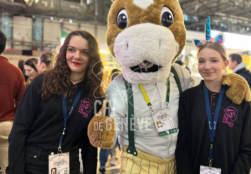 Description de l'image