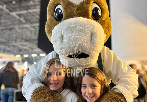 Description de l'image