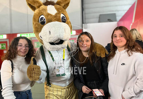 Description de l'image