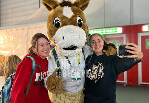 Description de l'image