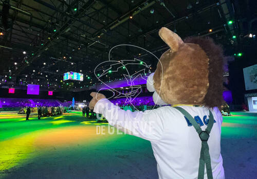 Description de l'image