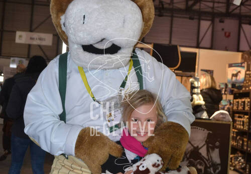 Description de l'image