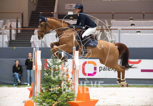 Description de l'image