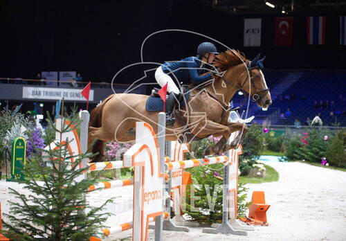 Description de l'image