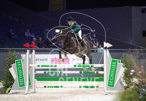 Description de l'image