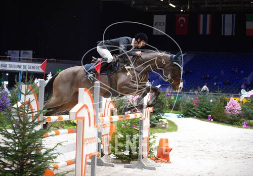 Description de l'image