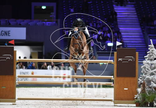 Description de l'image